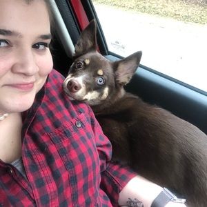 Meet your Posher, Halley